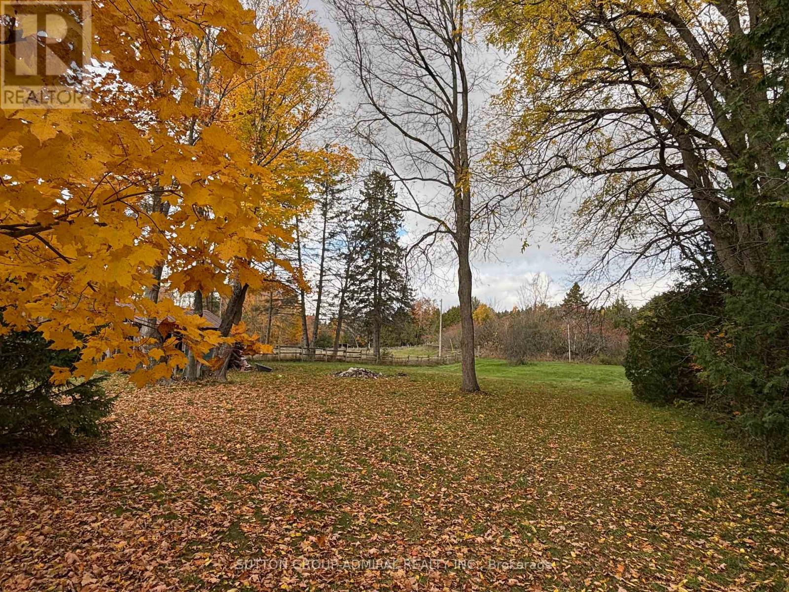 7574 White Road, Clarington, Ontario  L0A 1E0 - Photo 4 - E12419167