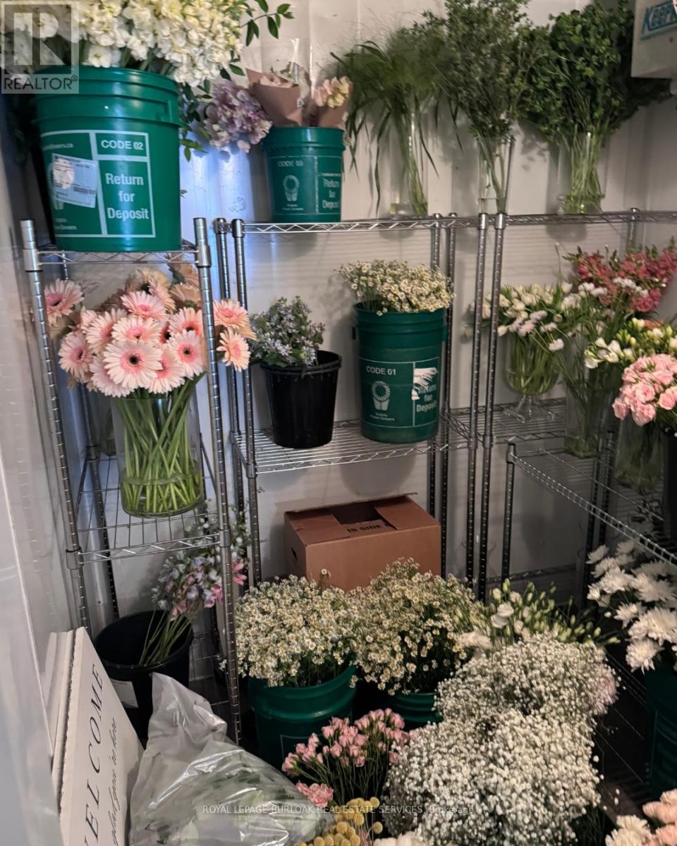 3130 Dundas Street W, Toronto, Ontario  M6P 2A1 - Photo 13 - W12483616