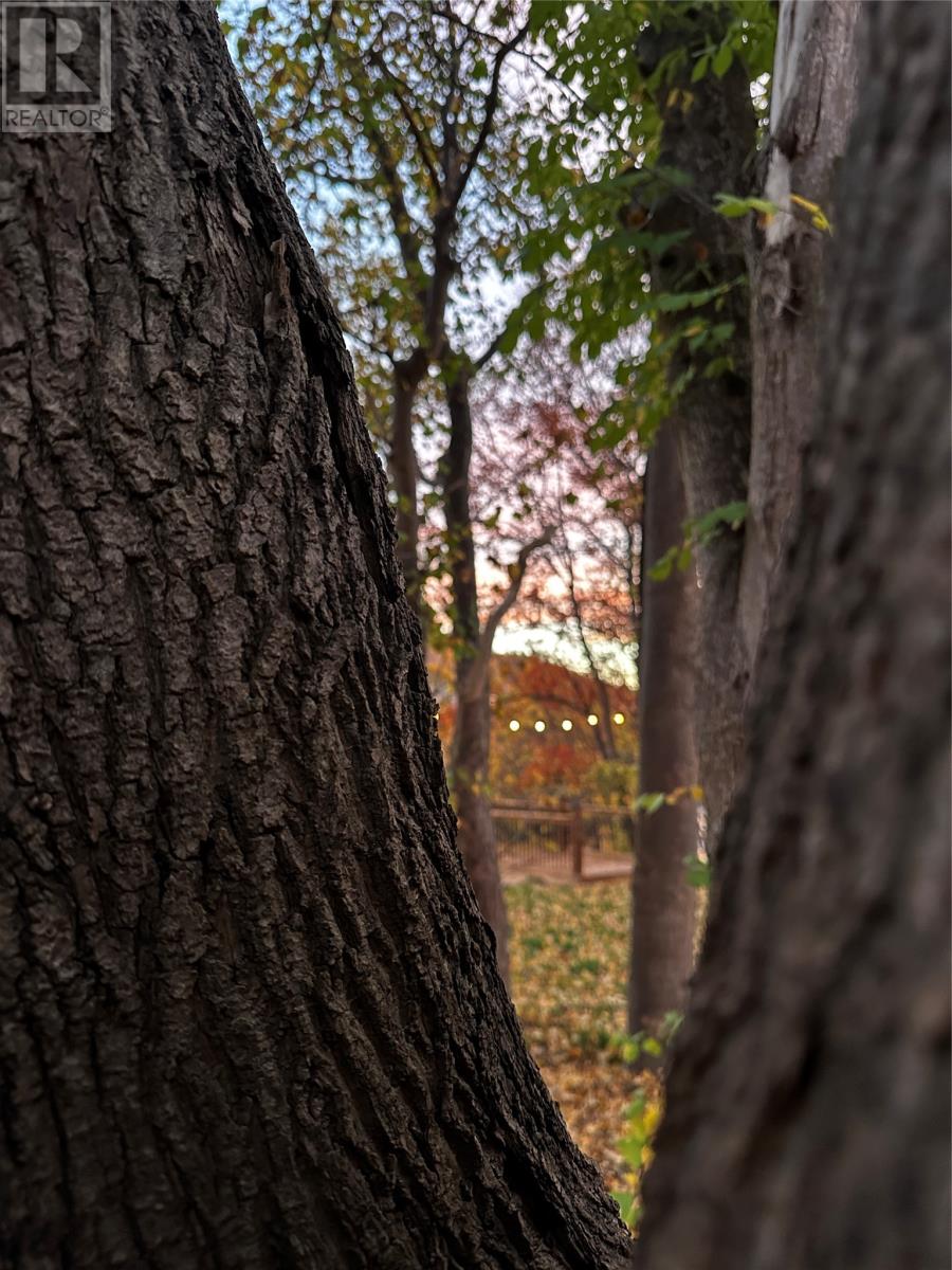 7 Waterford Bridge Road Unit#200, St. John's, Newfoundland & Labrador  A1E 1C5 - Photo 30 - 1292504