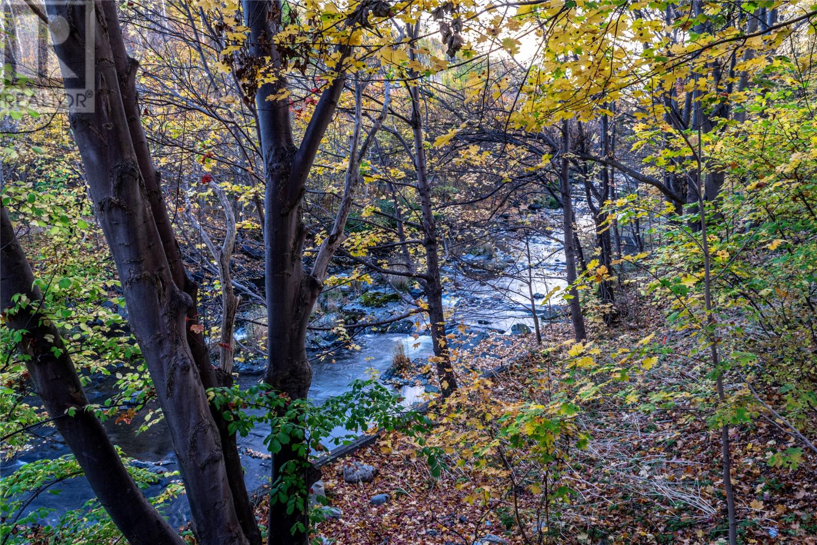 7 Waterford Bridge Road Unit#200, St. John's, Newfoundland & Labrador  A1E 1C5 - Photo 34 - 1292504