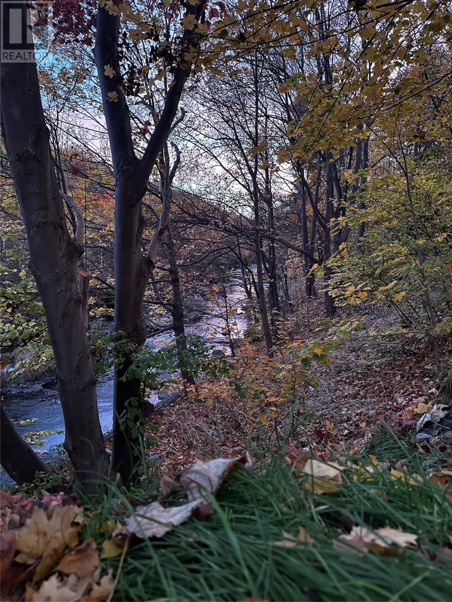 7 Waterford Bridge Road Unit#200, St. John's, Newfoundland & Labrador  A1E 1C5 - Photo 35 - 1292504