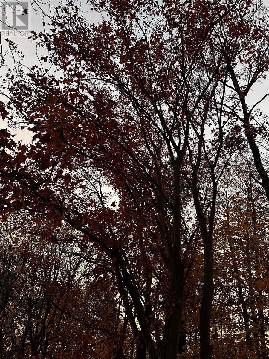 7 Waterford Bridge Road Unit#200, St. John's, Newfoundland & Labrador  A1E 1C5 - Photo 36 - 1292504