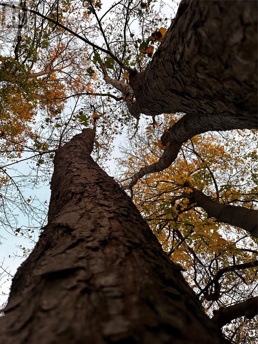 7 Waterford Bridge Road Unit#200, St. John's, Newfoundland & Labrador  A1E 1C5 - Photo 37 - 1292504