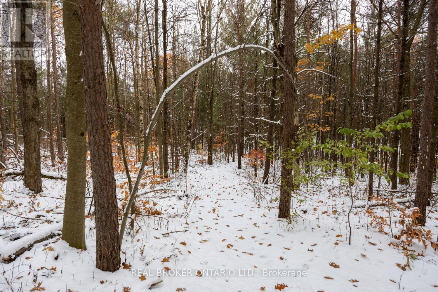 5 Sumac Road, Clarington, Ontario L0B 1B0 - Photo 50 - E12541410