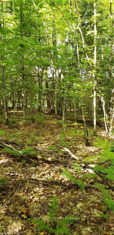 3339 Highway 534, Nipissing, Ontario  P0H 1W0 - Photo 3 - X12541422