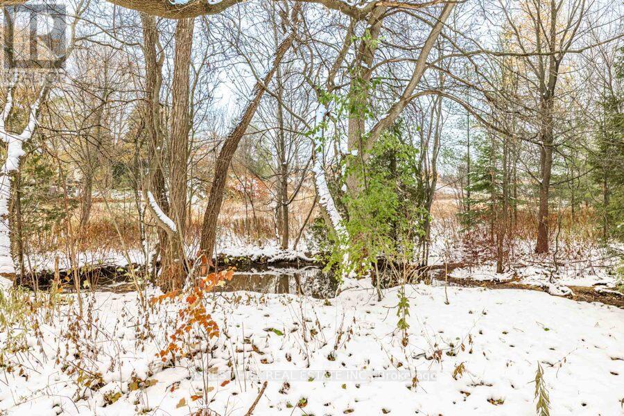 893 Srigley Street N, Newmarket, Ontario  L3Y 1Y2 - Photo 34 - N12541108