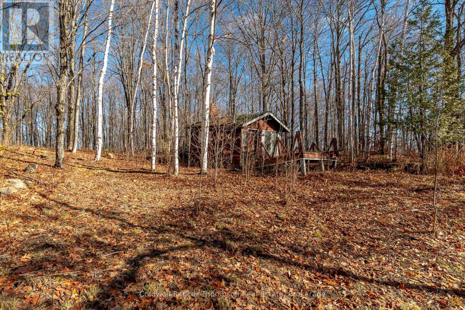 210 Allisons Point Road, Huntsville, Ontario P1H 1B5 - Photo 10 - X12541386