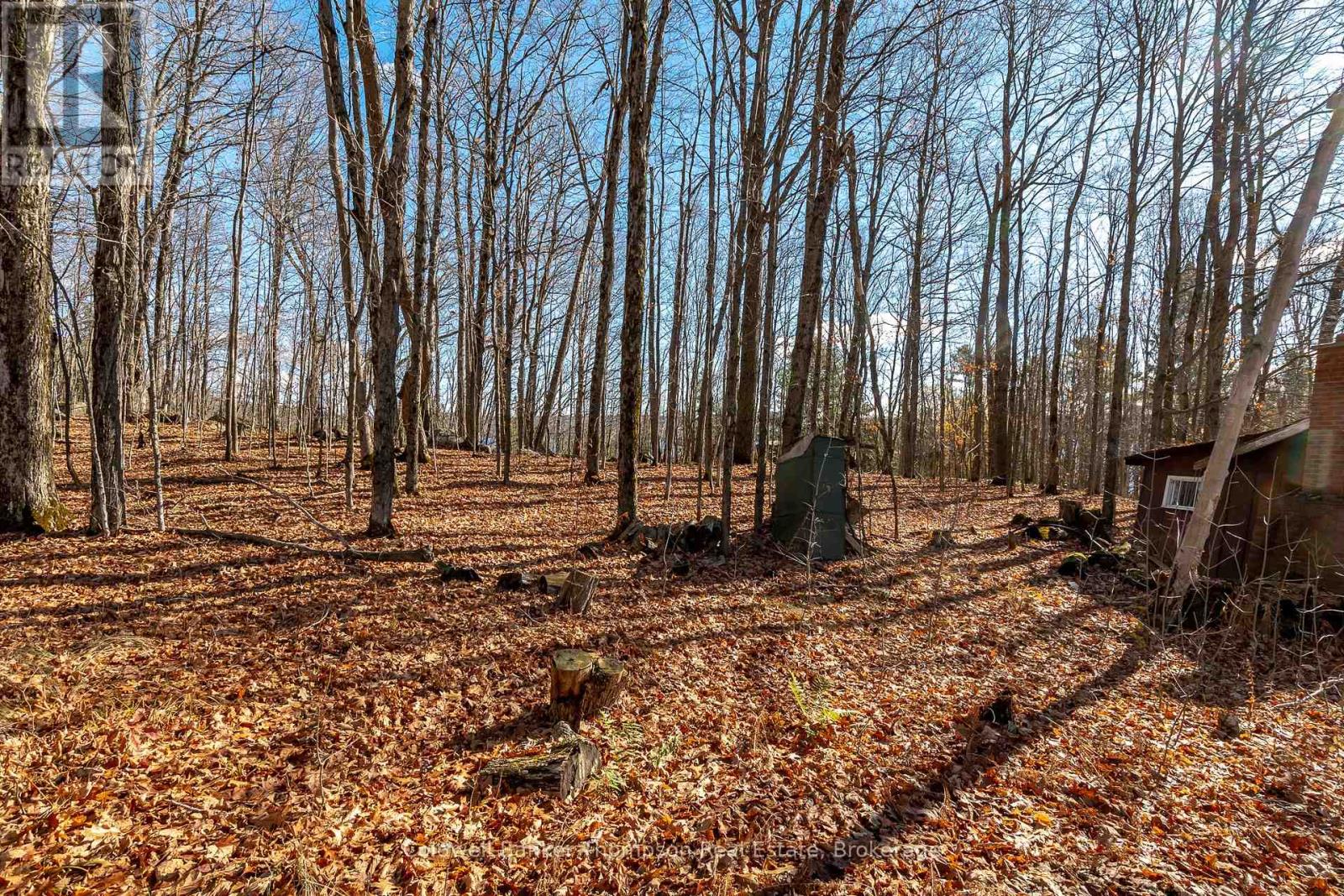 210 Allisons Point Road, Huntsville, Ontario P1H 1B5 - Photo 12 - X12541386