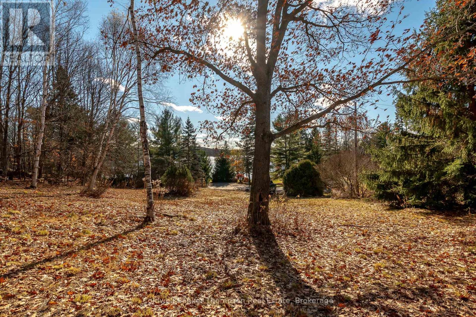 210 Allisons Point Road, Huntsville, Ontario P1H 1B5 - Photo 14 - X12541386