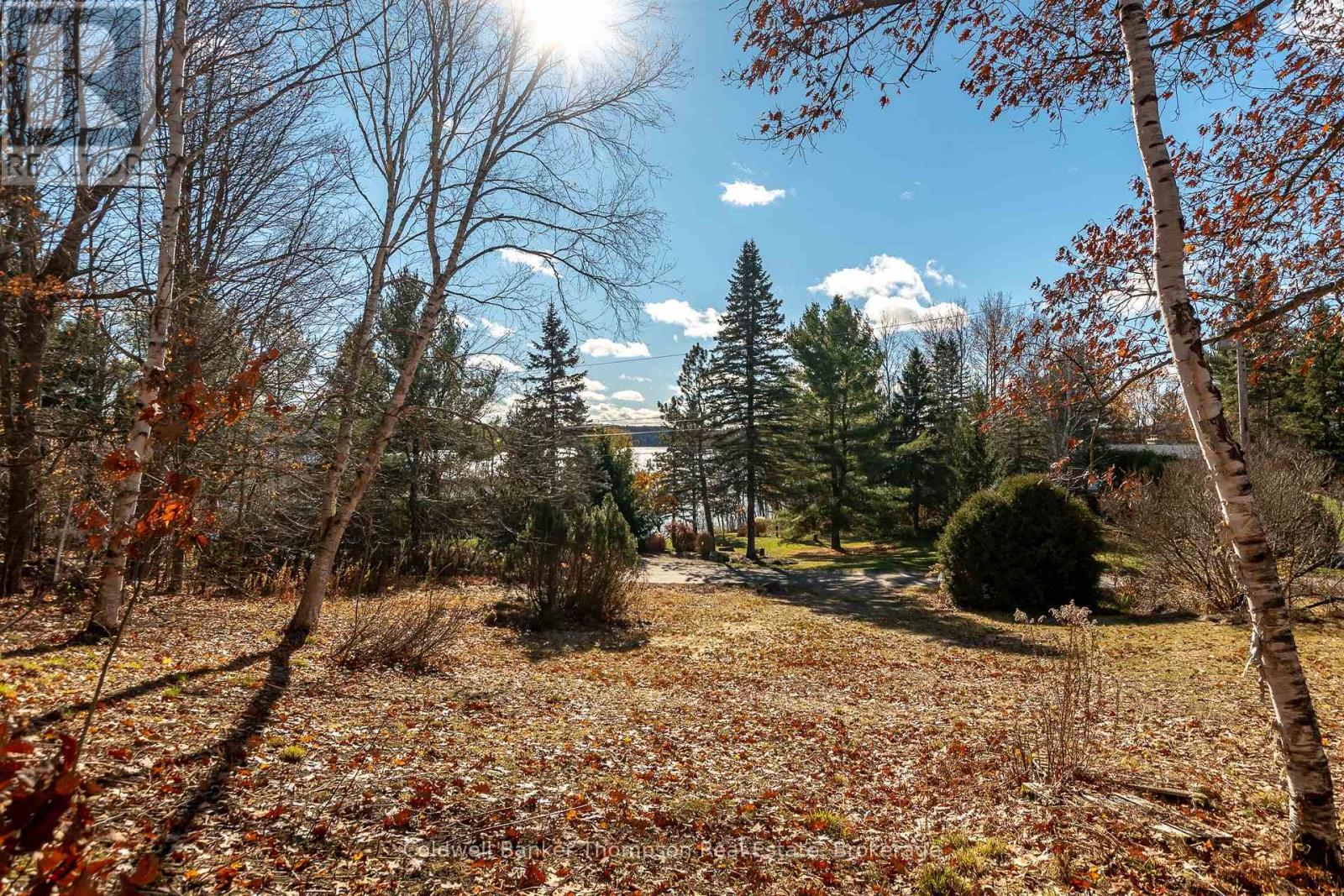 210 Allisons Point Road, Huntsville, Ontario P1H 1B5 - Photo 17 - X12541386