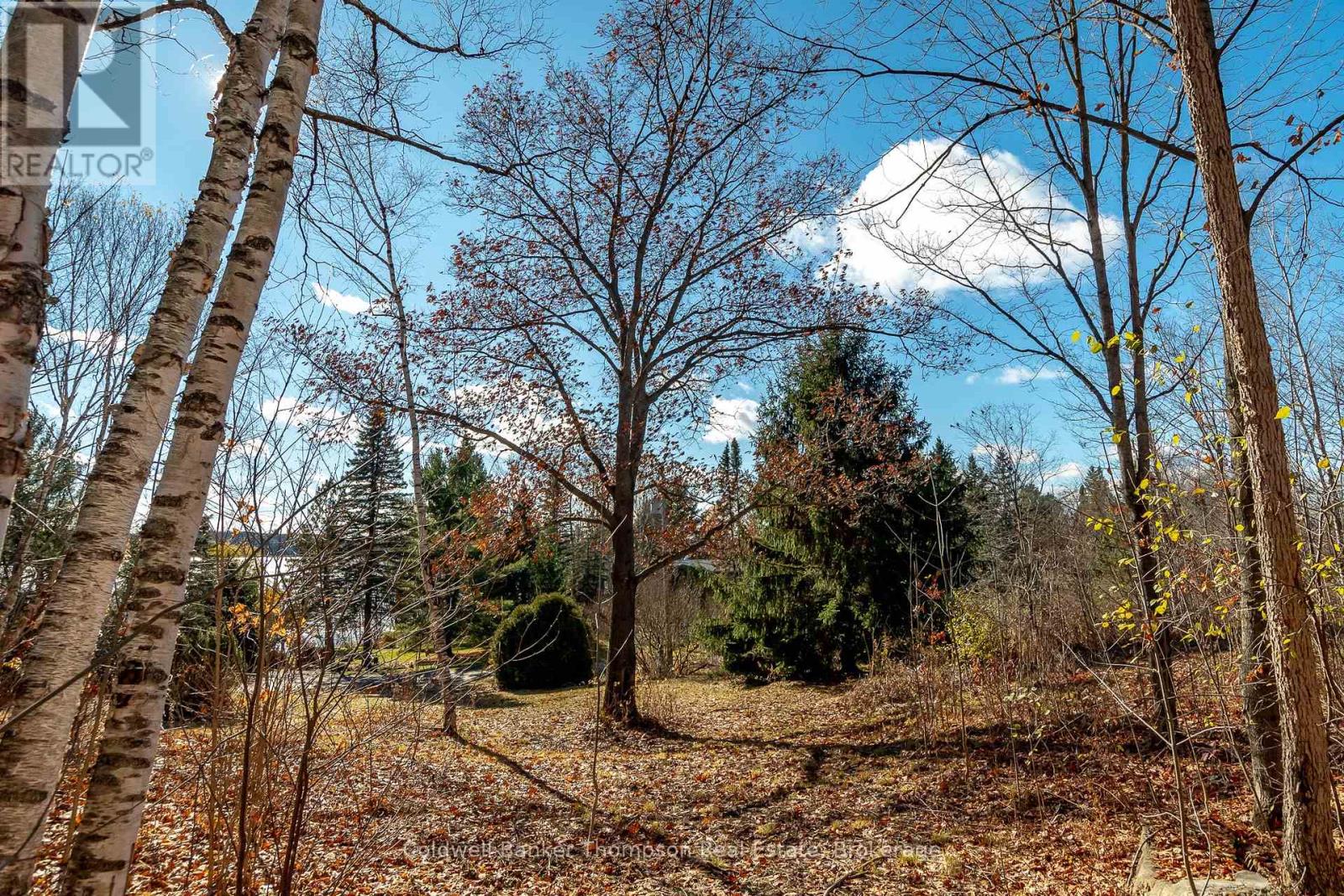 210 Allisons Point Road, Huntsville, Ontario P1H 1B5 - Photo 18 - X12541386