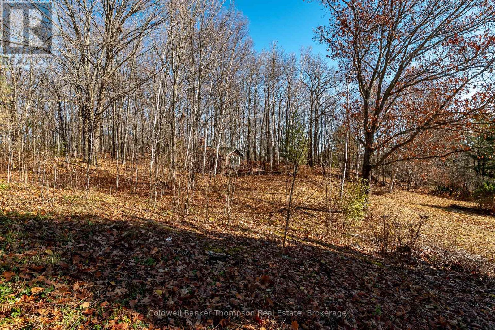 210 Allisons Point Road, Huntsville, Ontario P1H 1B5 - Photo 20 - X12541386