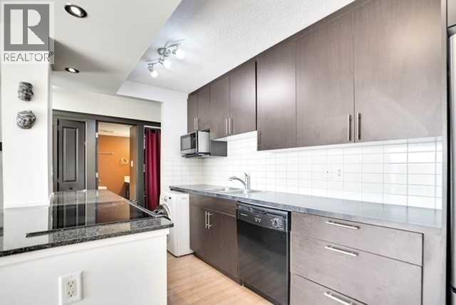 405, 501 57 Avenue Sw, Calgary, Alberta  T2V 0H3 - Photo 9 - A2265081