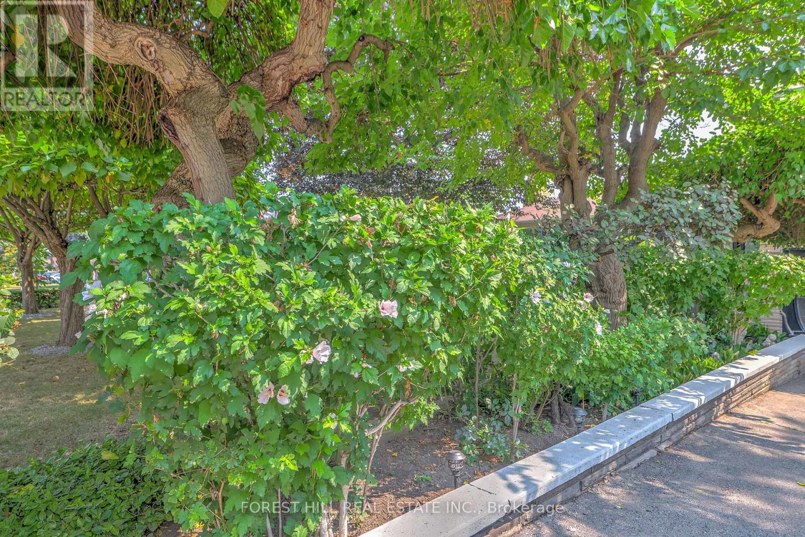 89 Portage Avenue, Toronto, Ontario  M9N 3H2 - Photo 3 - W12541160