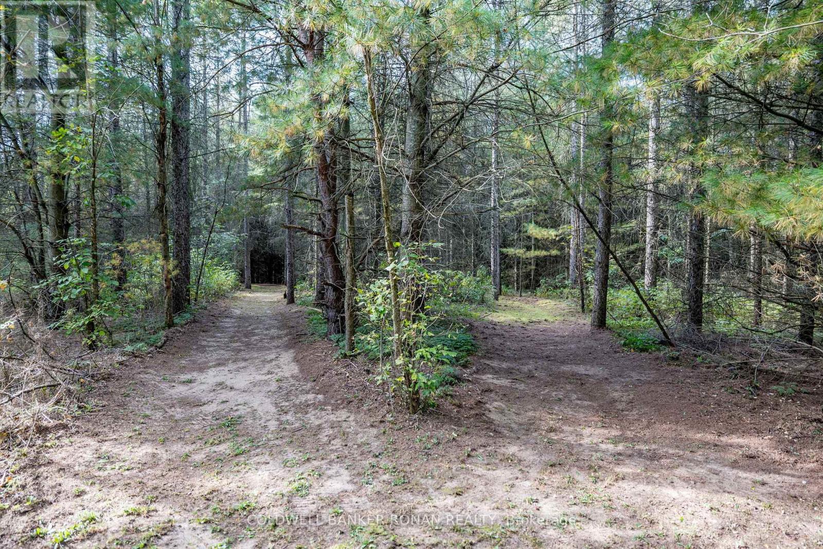 16 Indiana Drive, Caledon, Ontario  L7E 0C6 - Photo 40 - W12541416