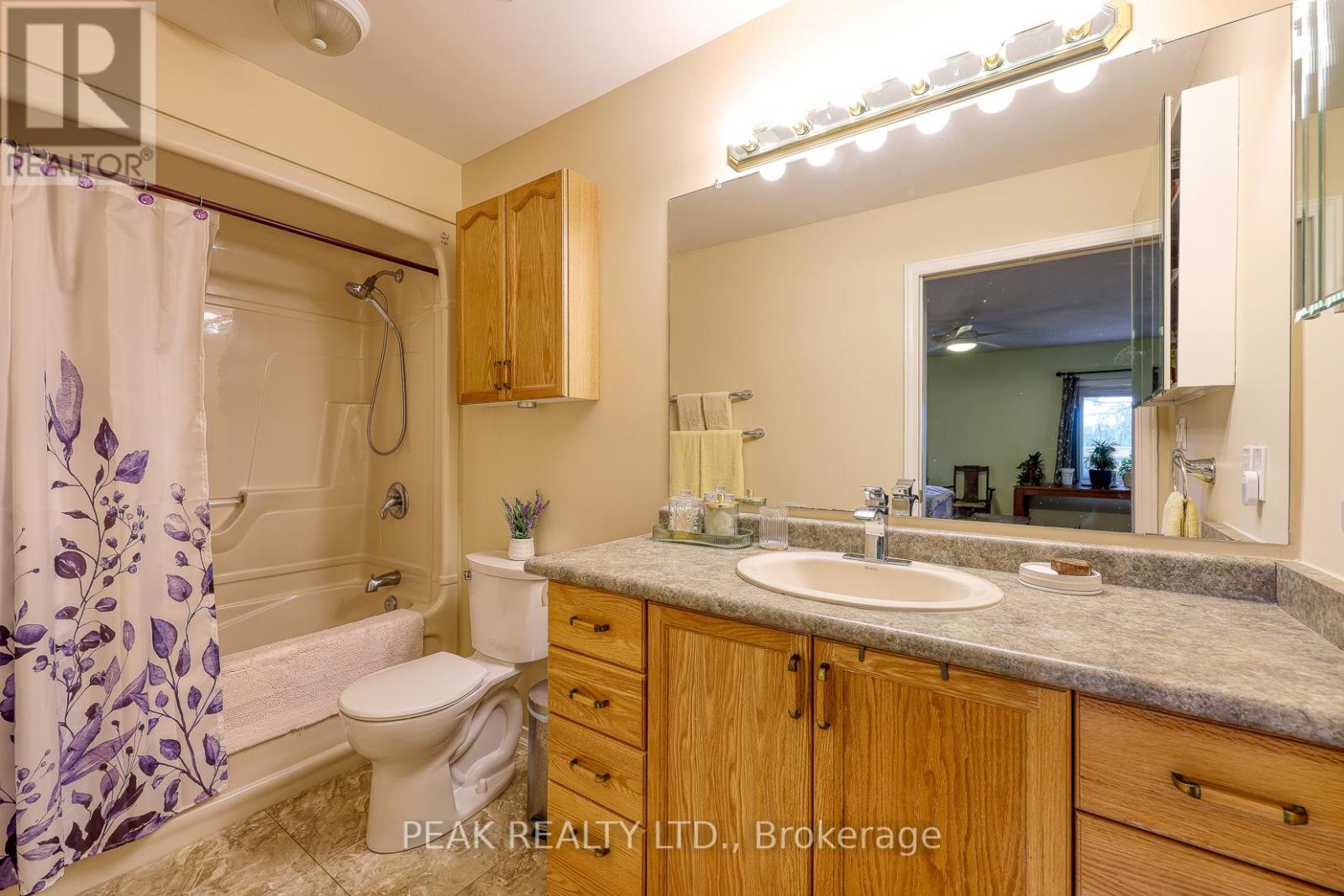 217 North Street E, Tillsonburg, Ontario  N4G 1B8 - Photo 15 - X12541230