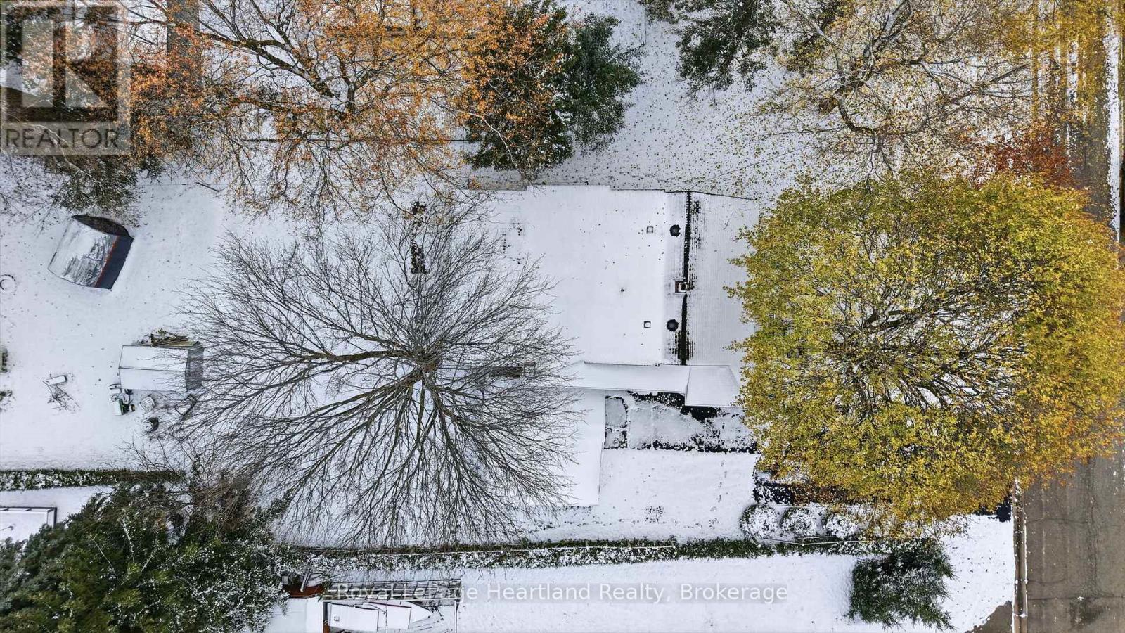 15 Wilson Street, Minto, Ontario  N0G 1Z0 - Photo 5 - X12541496