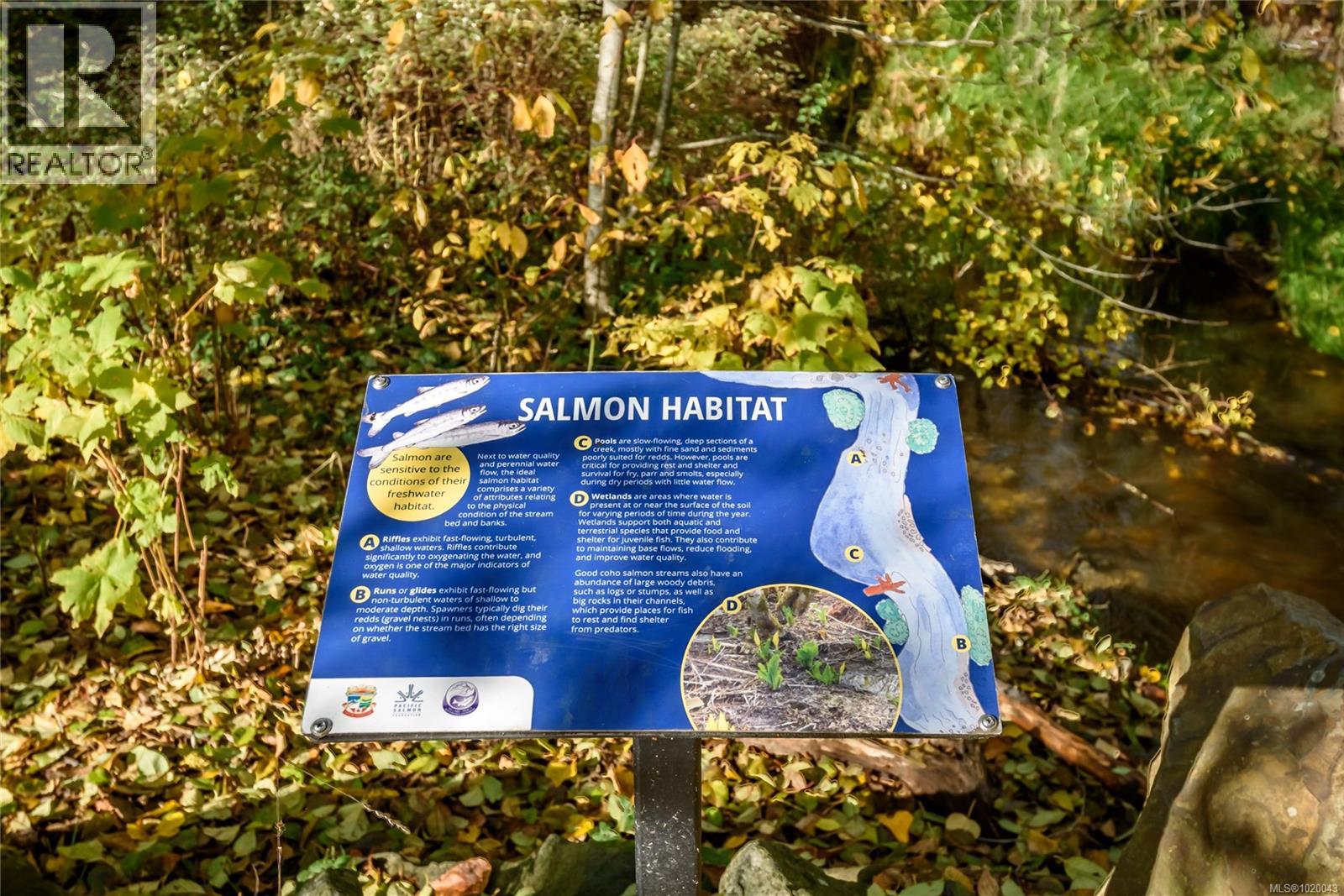 2245 Cousins Ave, Courtenay, British Columbia  V9N 3N6 - Photo 34 - 1020043