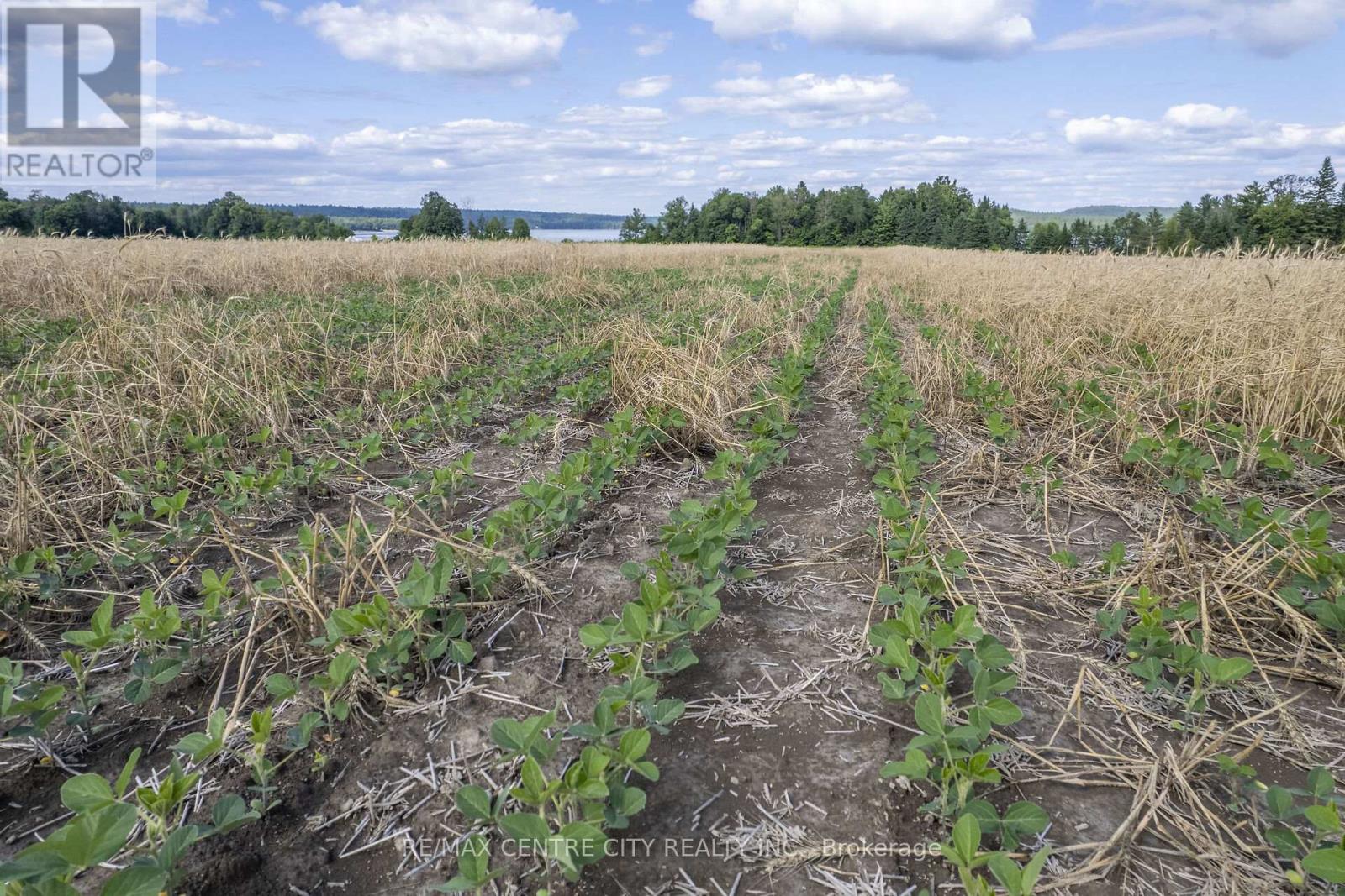 Pt Lts 38 & 39 Conc 9, Whitewater Region, Ontario  K0J 1K0 - Photo 20 - X12541712