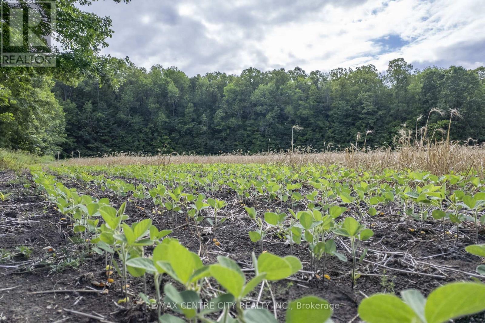 Pt Lts 38 & 39 Conc 9, Whitewater Region, Ontario  K0J 1K0 - Photo 23 - X12541712