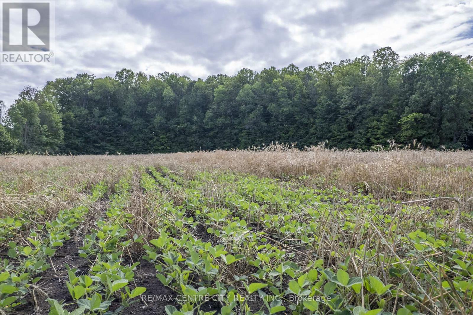 Pt Lts 38 & 39 Conc 9, Whitewater Region, Ontario  K0J 1K0 - Photo 21 - X12541714