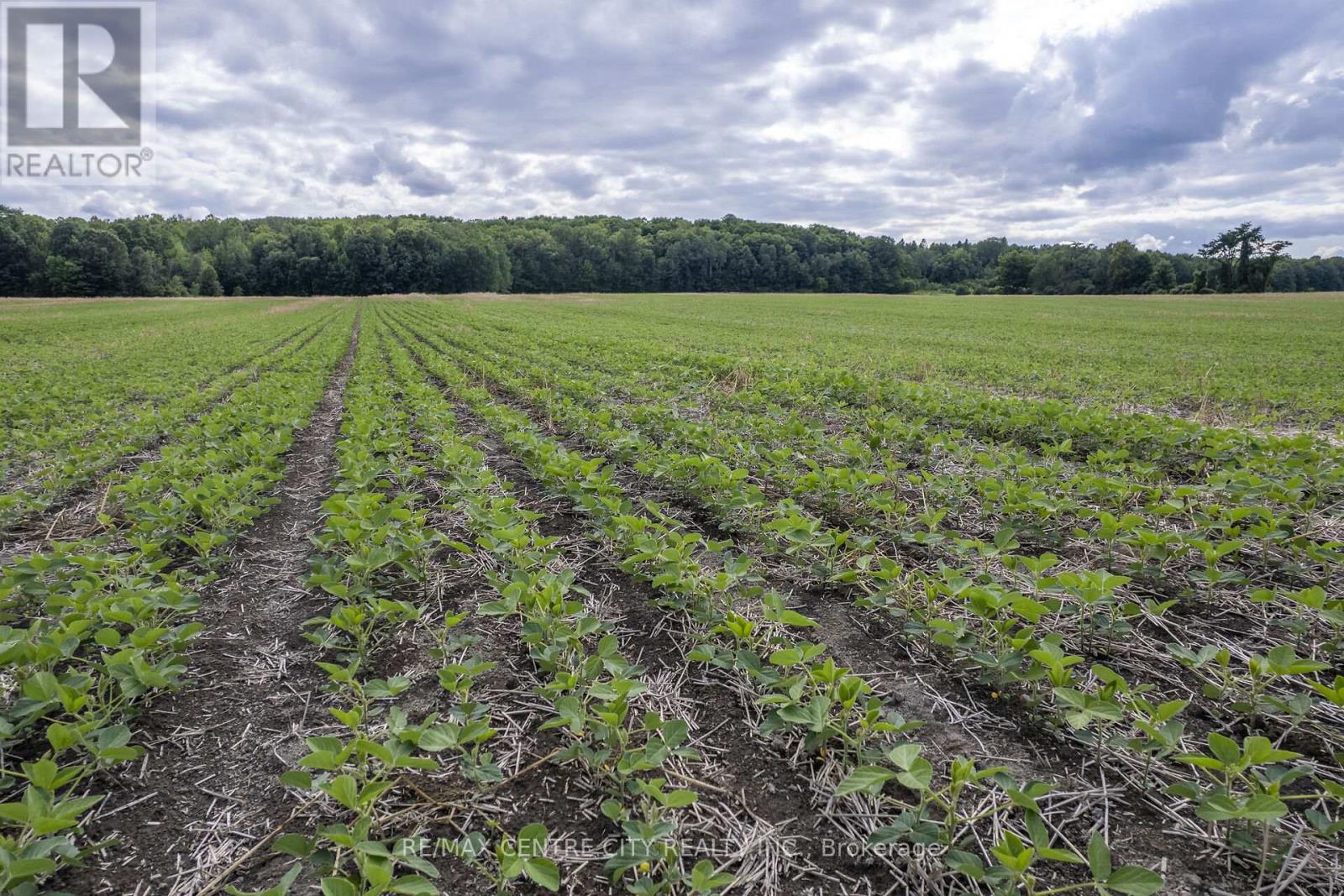 Pt Lts 38 & 39 Conc 9, Whitewater Region, Ontario  K0J 1K0 - Photo 34 - X12541714