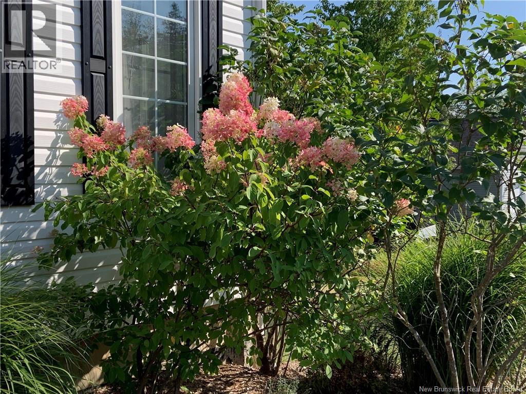 36 Robby Street, Douglas, New Brunswick  E3G 8B4 - Photo 41 - NB127797