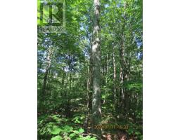 LOtS 17-20 S and T Line RD, Hilton Twp St Joseph Island, Ontario