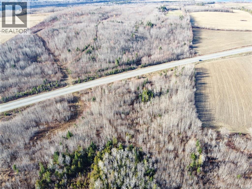 Lot Route 130, Oakland, New Brunswick  E7L 0G4 - Photo 8 - NB130102
