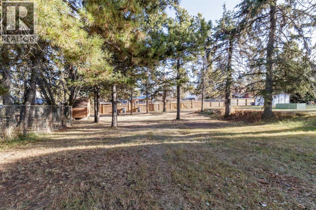 4523 48 Street, Sylvan Lake, Alberta  T4S 1L4 - Photo 19 - A2270257