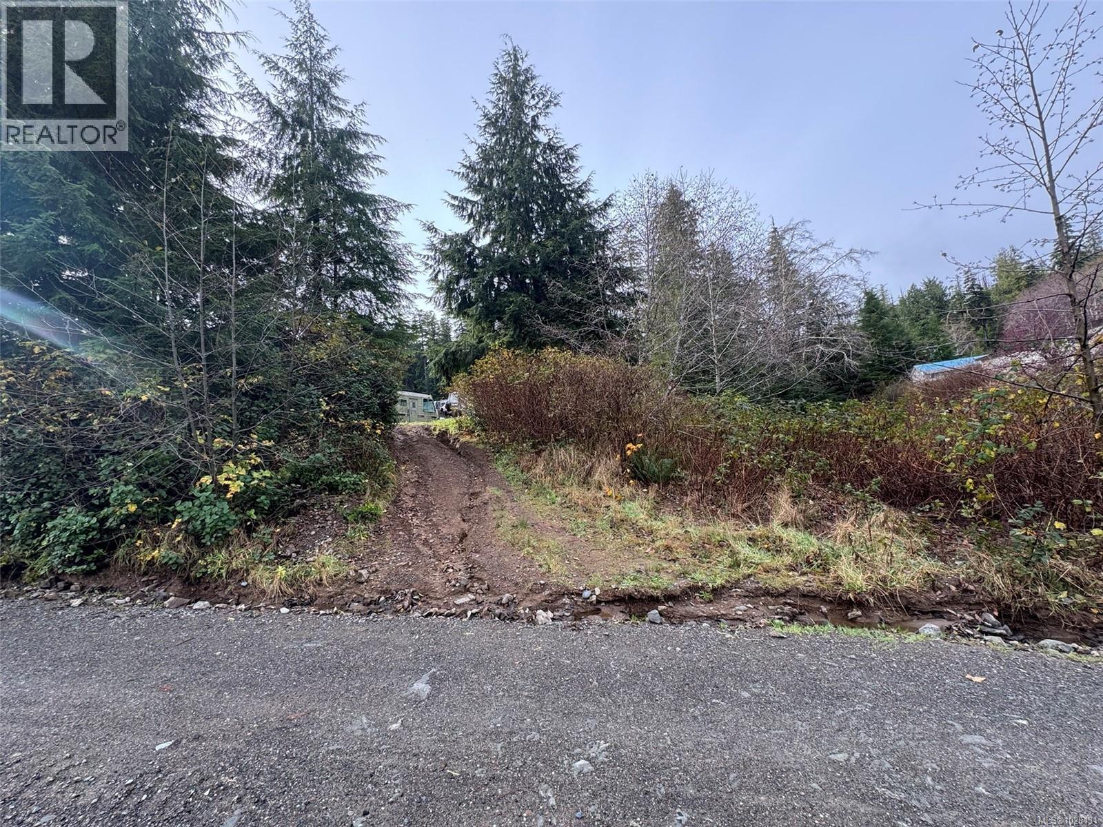 B129 Winter Harbour Rd, Winter Harbour, British Columbia  V0N 3L0 - Photo 6 - 1020431