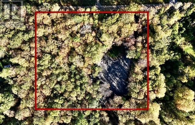 1394 BARTLETT LAKE ROAD, Ryerson, Ontario