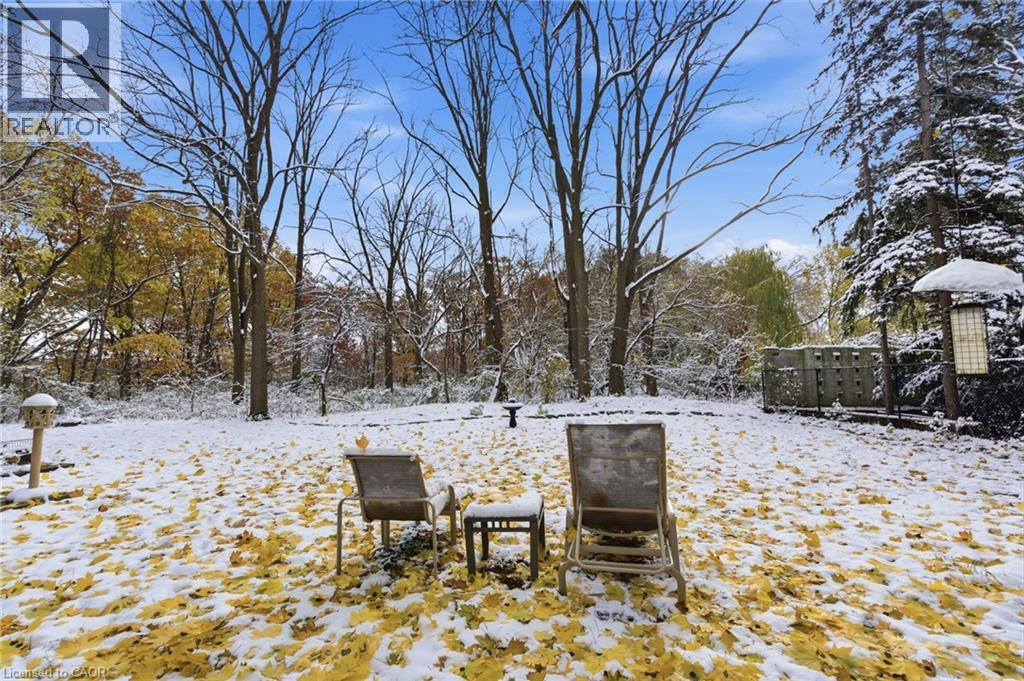 16 Freeland Court, Hamilton, Ontario L8S 3R5 - Photo 40 - 40787879