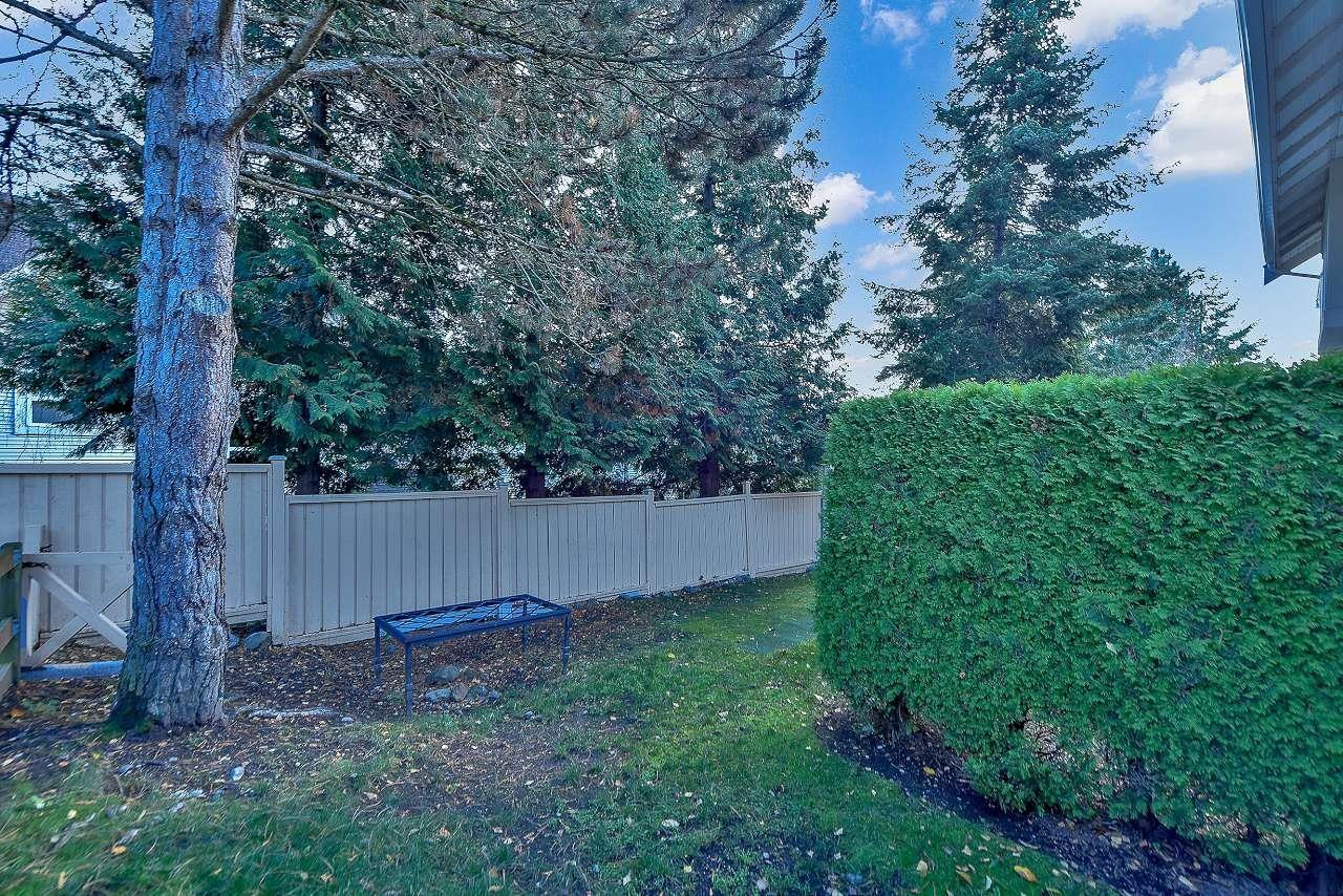 54 15037 58 Avenue, Surrey, British Columbia  V3S 8Z5 - Photo 26 - R3065373