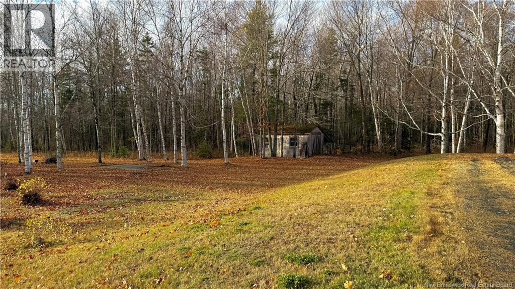 293 Ch Collette, Collette, New Brunswick  E4Y 1J3 - Photo 37 - NB129736