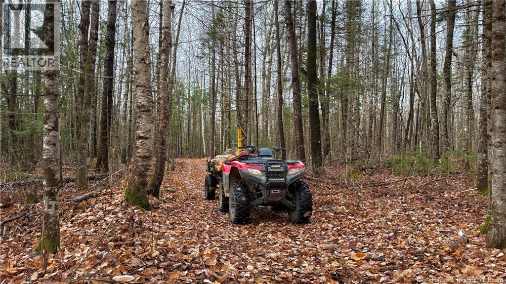 293 Ch Collette, Collette, New Brunswick  E4Y 1J3 - Photo 40 - NB129736