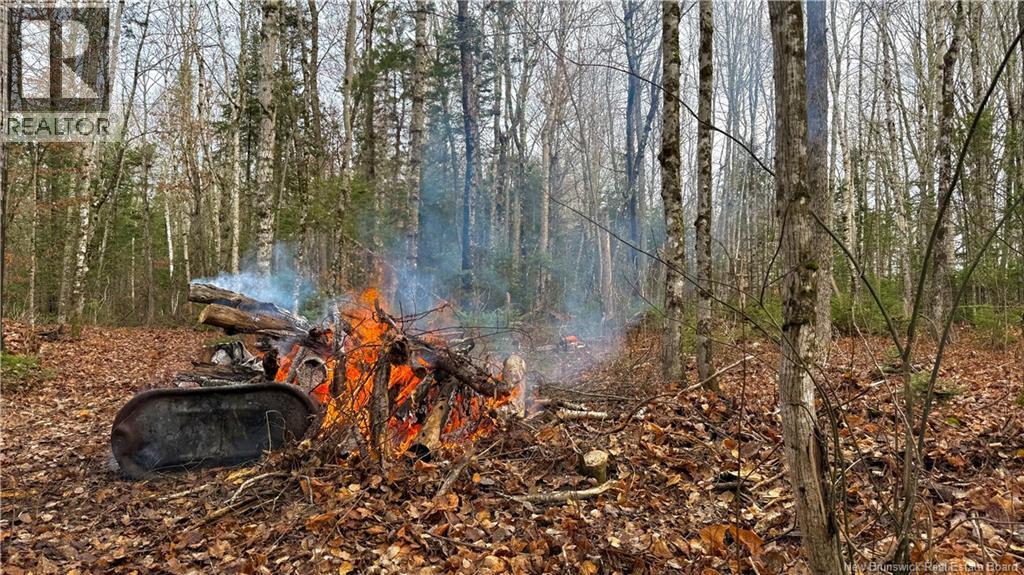 293 Ch Collette, Collette, New Brunswick  E4Y 1J3 - Photo 41 - NB129736