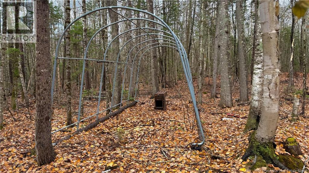 293 Ch Collette, Collette, New Brunswick  E4Y 1J3 - Photo 42 - NB129736