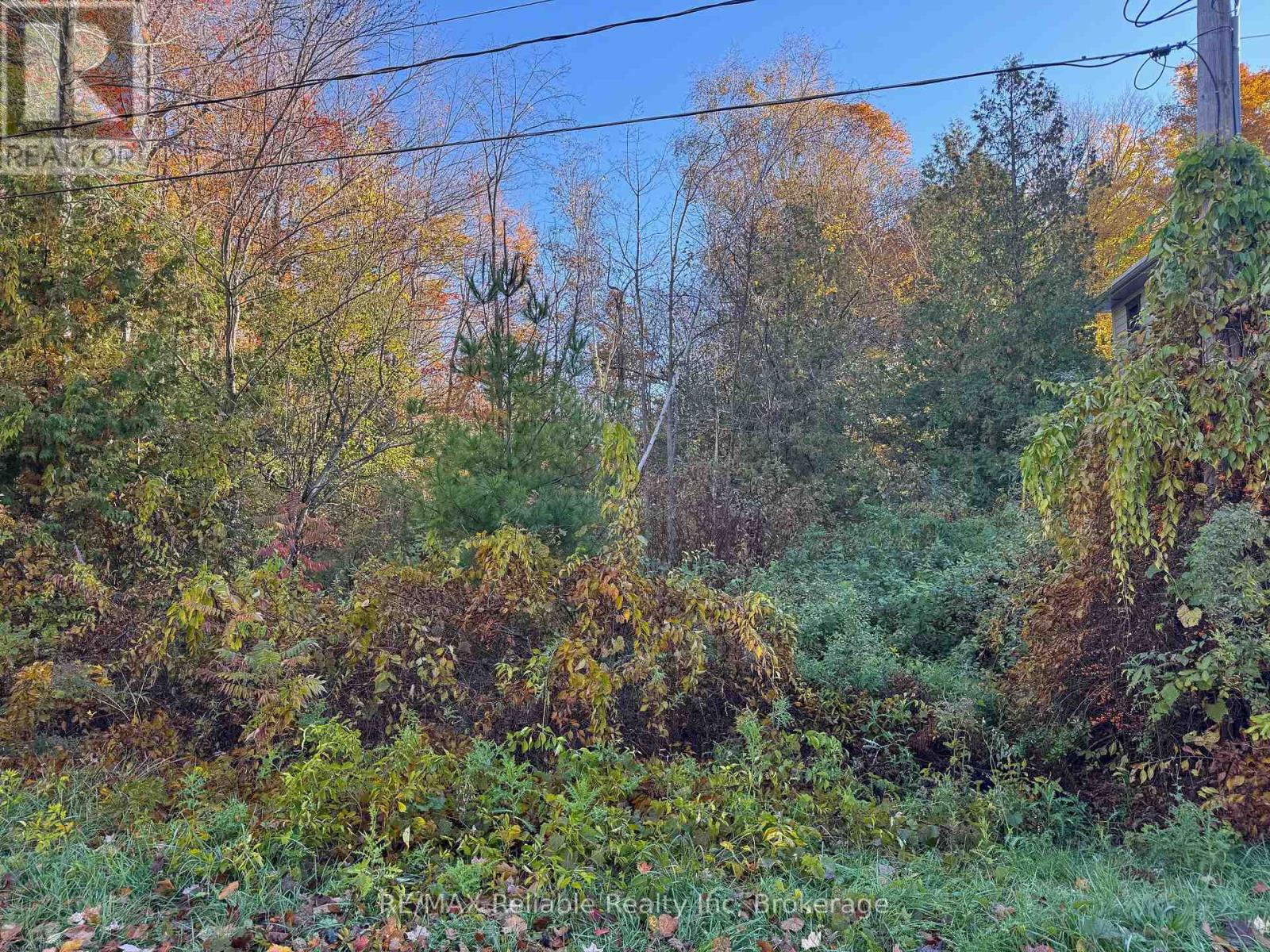 28 GEORGE STREET, Bluewater, Ontario