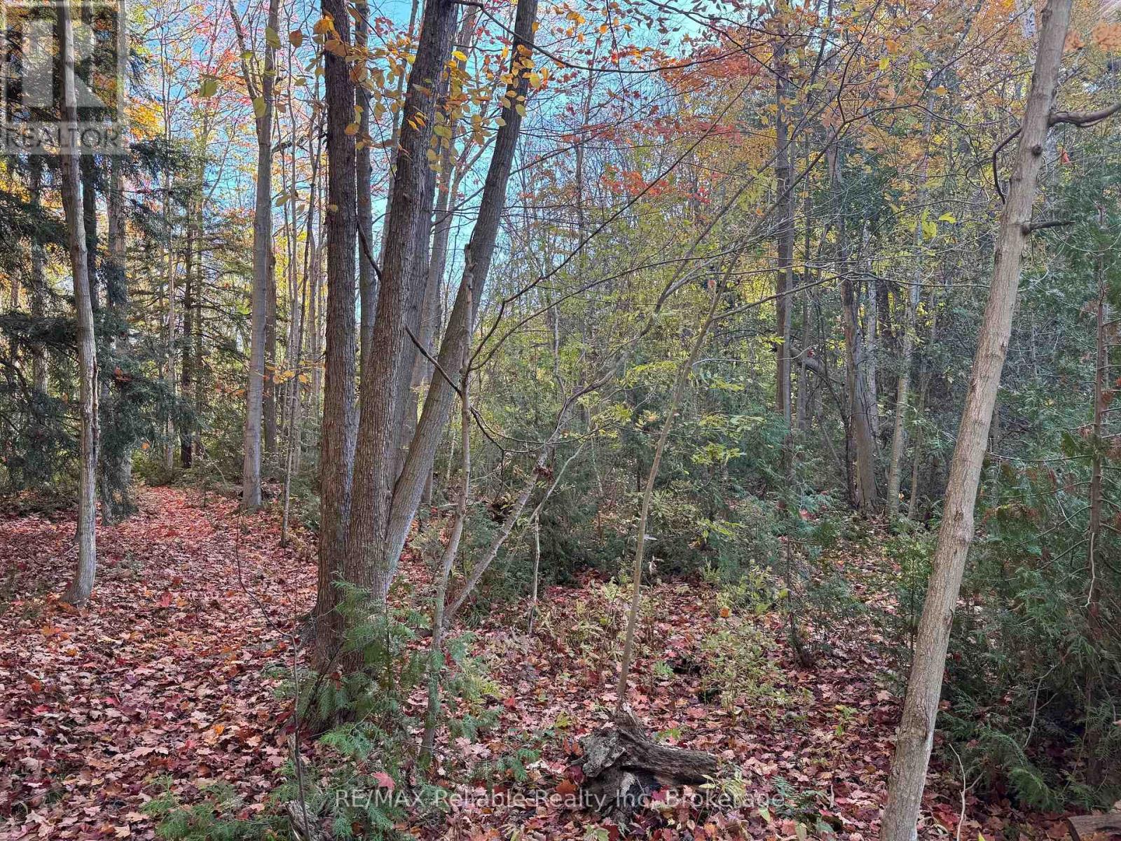 28 George Street, Bluewater, Ontario N0M 1G0 - Photo 3 - X12542122