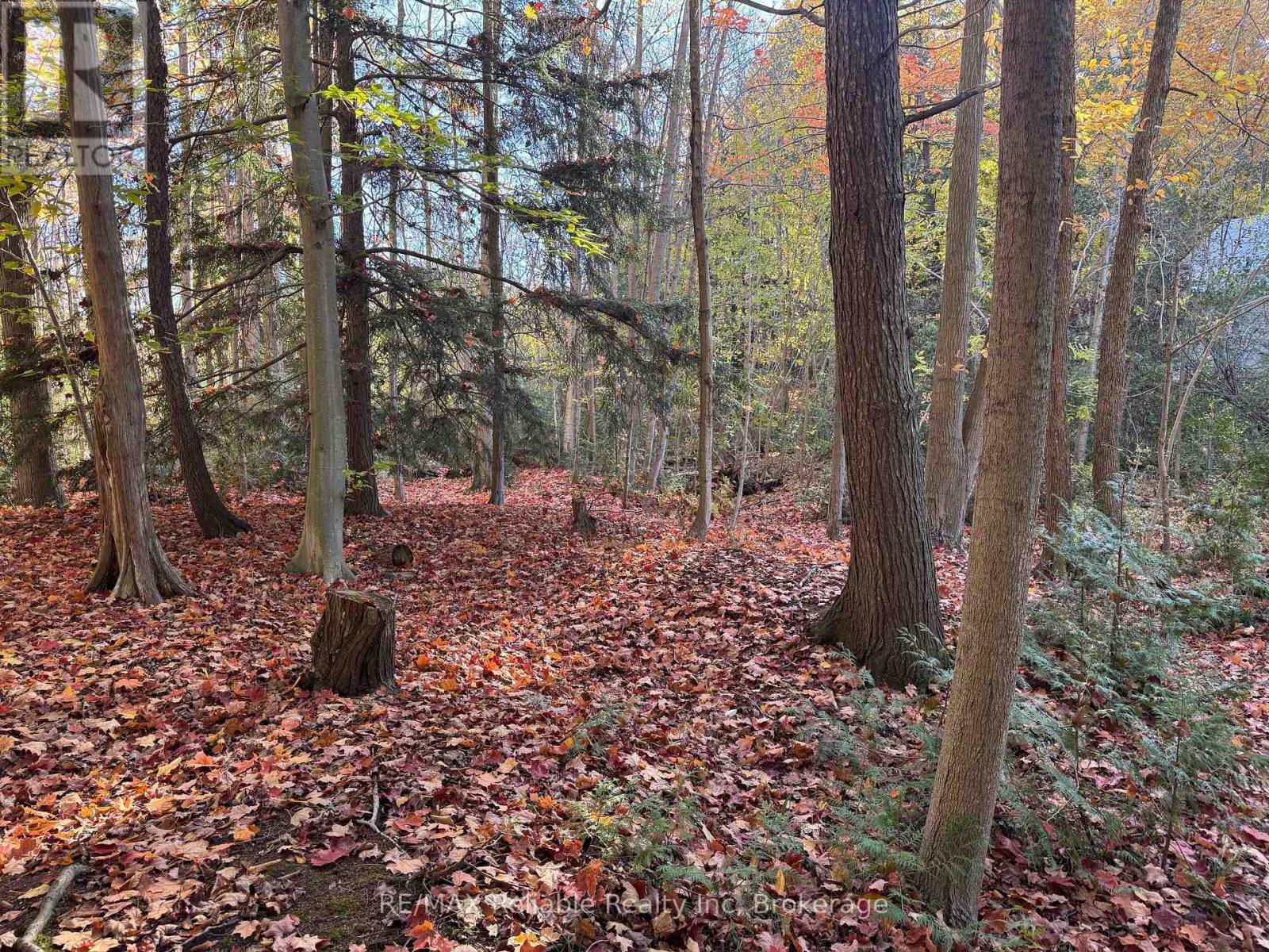 28 George Street, Bluewater, Ontario N0M 1G0 - Photo 4 - X12542122