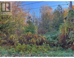 28 GEORGE STREET, Bluewater, Ontario