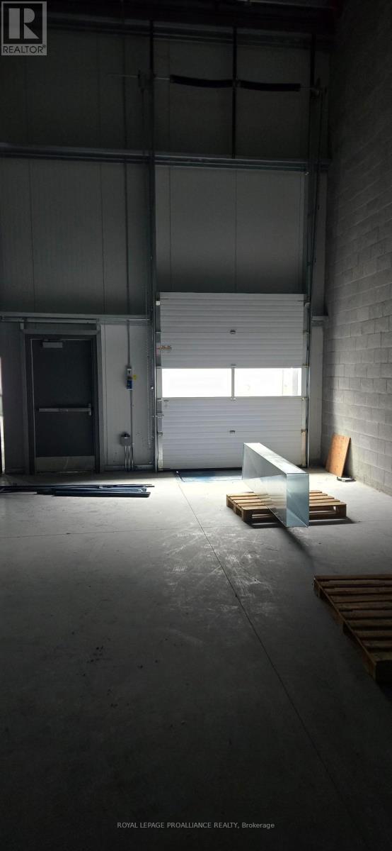 B - 296 University Avenue, Belleville, Ontario K8N 5S6 - Photo 8 - X12523590