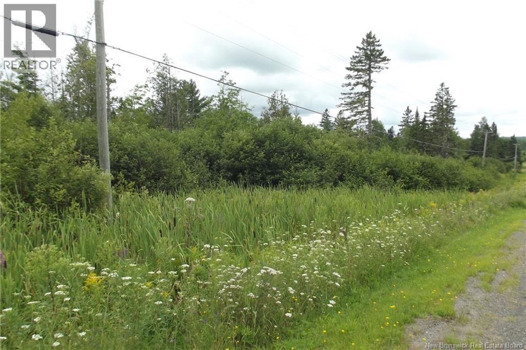 000 620 Route, Tay Creek, New Brunswick  E6B 1K5 - Photo 2 - NB130127