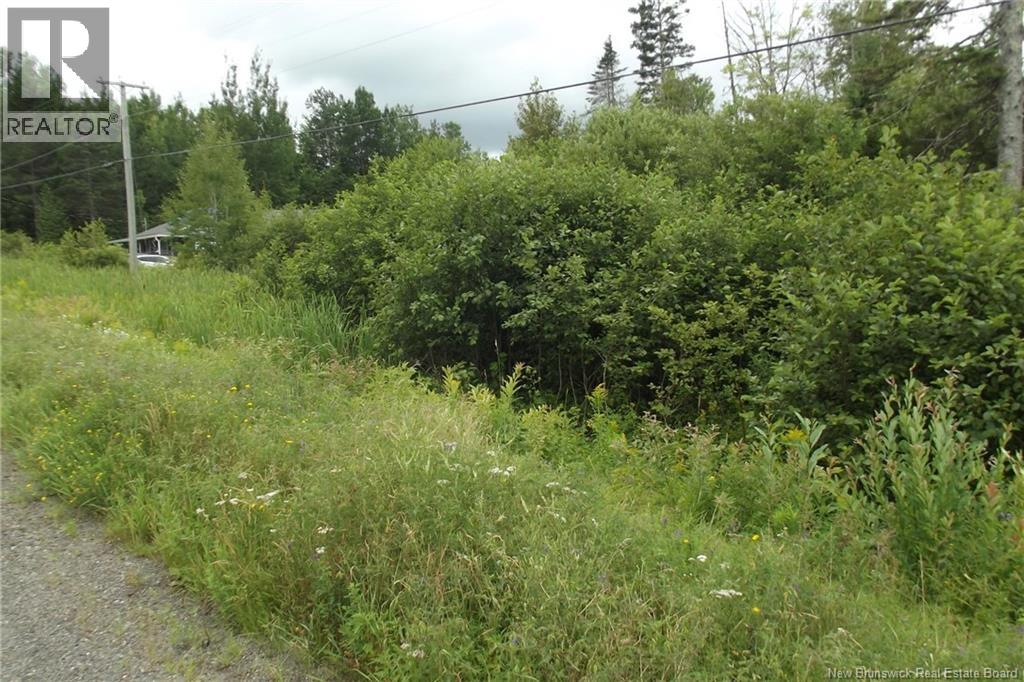 000 620 Route, Tay Creek, New Brunswick  E6B 1K5 - Photo 1 - NB130127