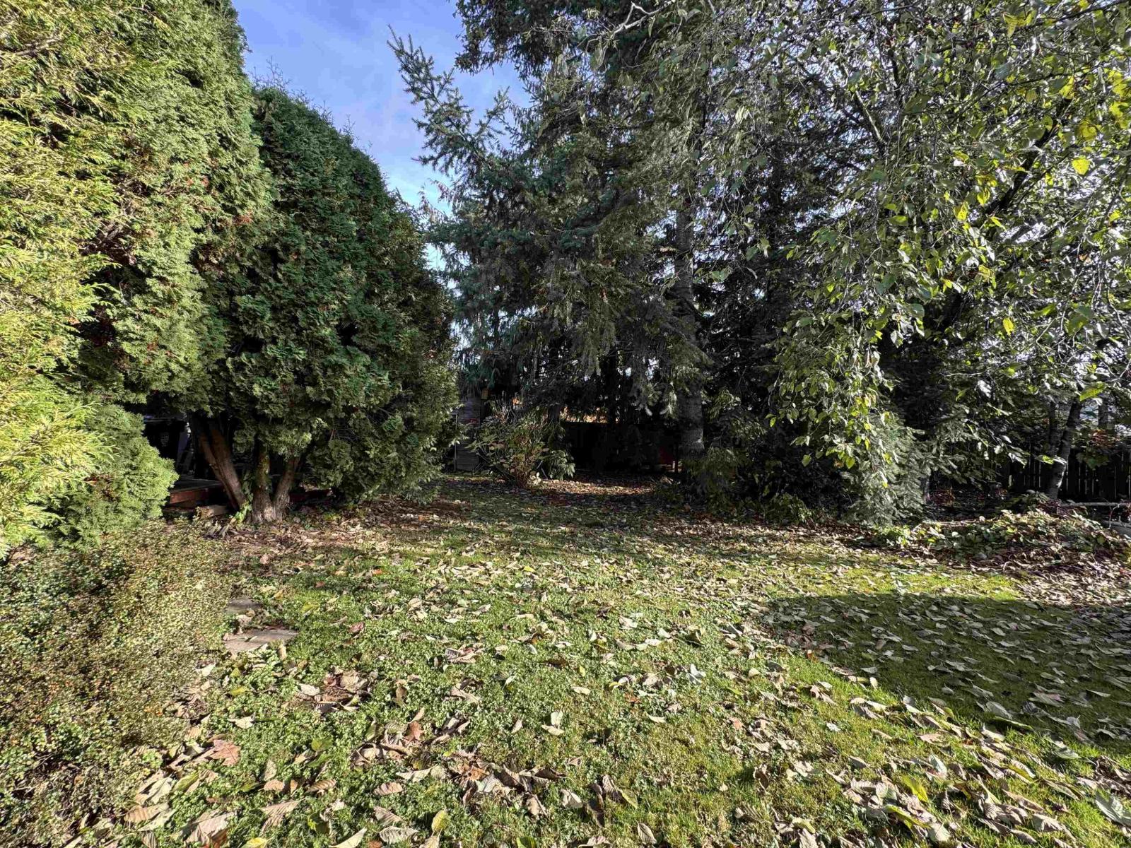 26978 28b Avenue, Langley, British Columbia  V4W 3A5 - Photo 18 - R3066542