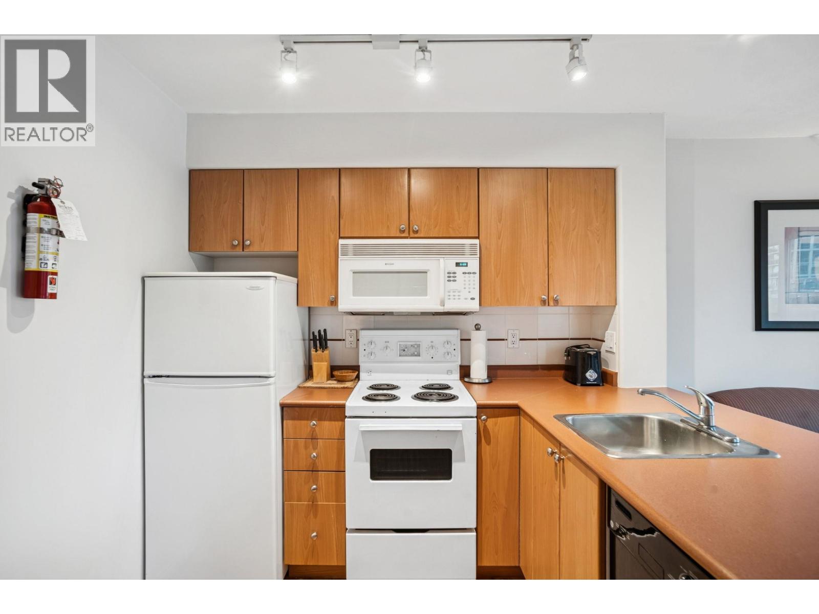 703 910 Beach Avenue, Vancouver, British Columbia  V6Z 2W7 - Photo 13 - R3067163