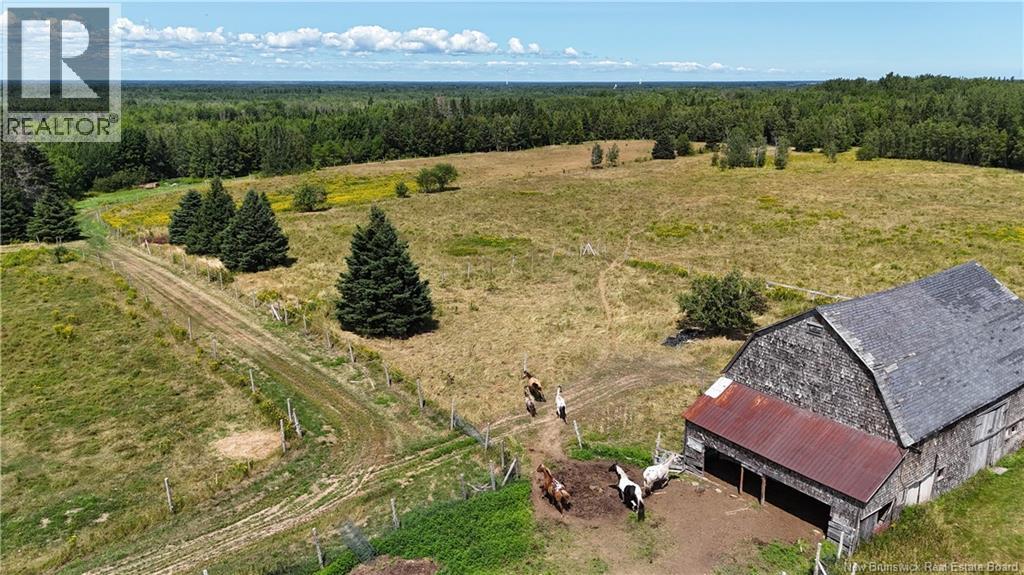 566 West Galloway Road, Galloway, New Brunswick  E4W 2P9 - Photo 5 - NB124342