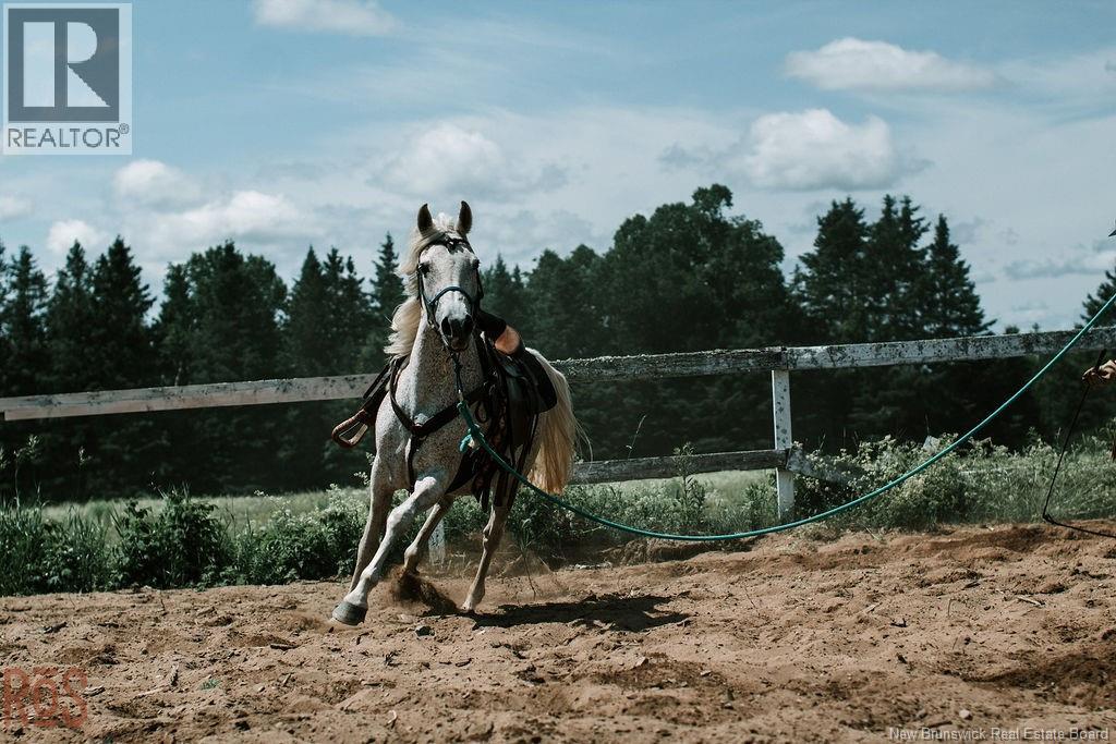 566 West Galloway Road, Galloway, New Brunswick  E4W 2P9 - Photo 8 - NB124342