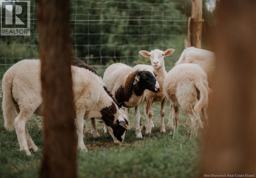 566 West Galloway Road, Galloway, New Brunswick  E4W 2P9 - Photo 35 - NB124342